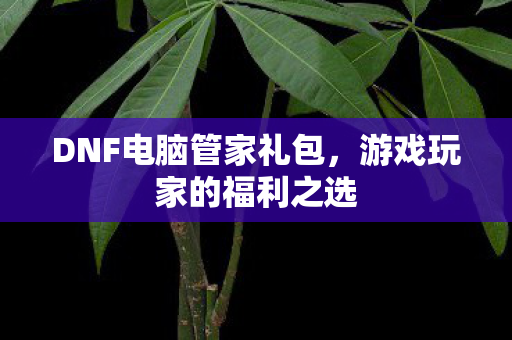 DNF电脑管家礼包图片