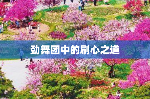 劲舞团中的刷心之道图片