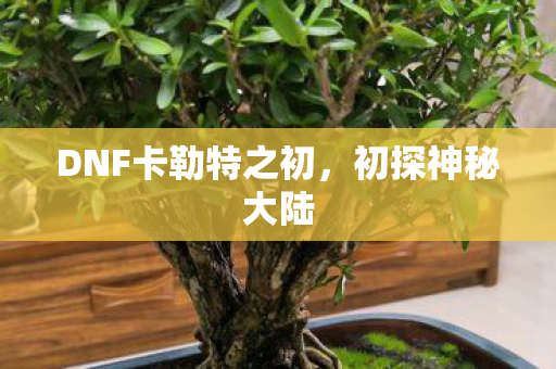 DNF卡勒特之初图片