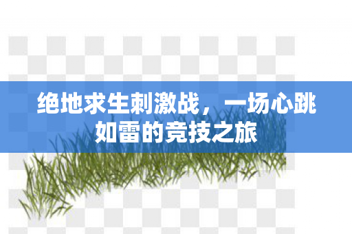 一场心跳如雷的竞技之旅图片