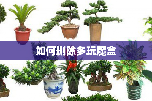 如何删除多玩魔盒图片