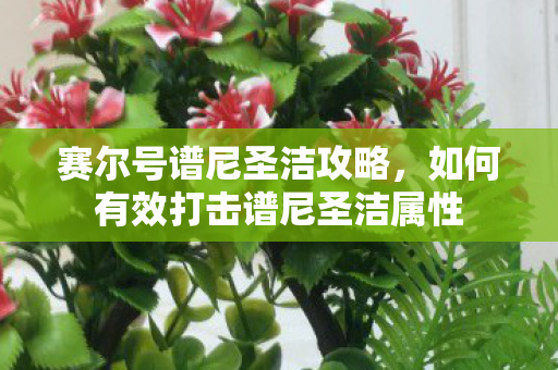 如何有效打击谱尼圣洁属性图片