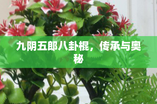 九阴五郎八卦棍图片