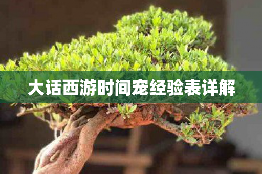 大话西游时间宠经验表详解图片