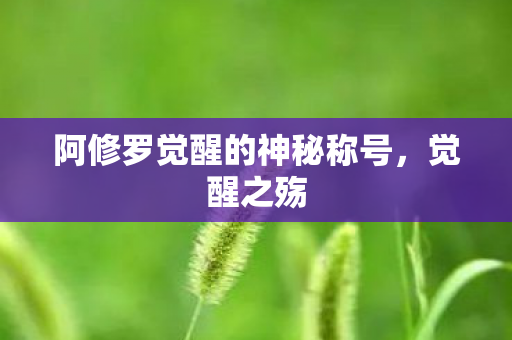 阿修罗觉醒的神秘称号图片