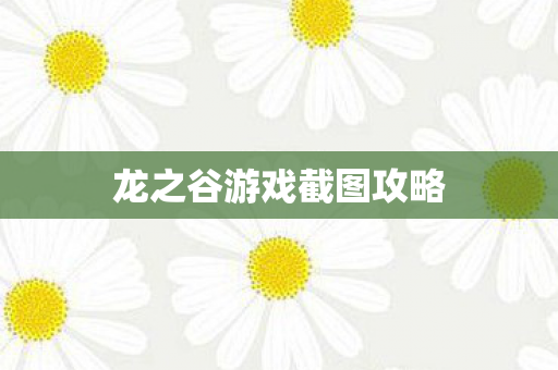 龙之谷游戏截图攻略图片