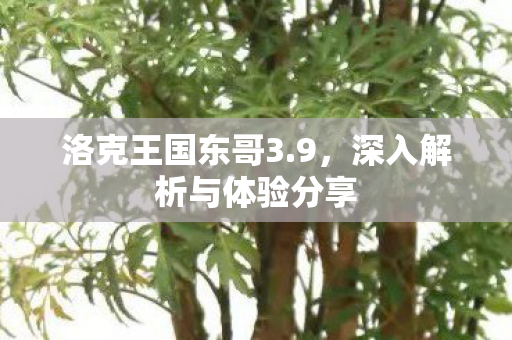 深入解析与体验分享图片