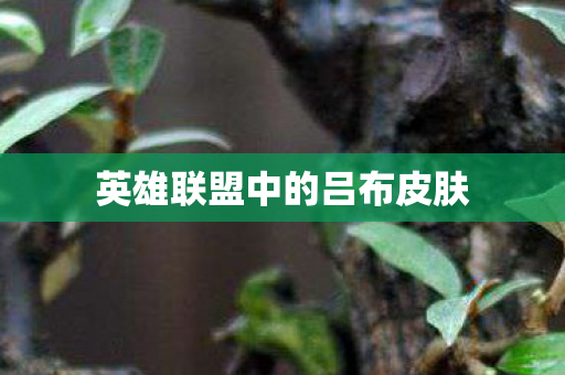 英雄联盟中的吕布皮肤图片