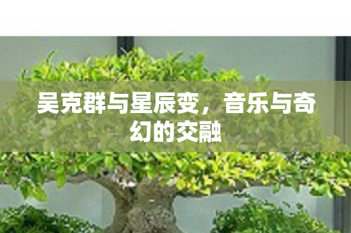 音乐与奇幻的交融图片