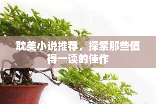 探索那些值得一读的佳作图片