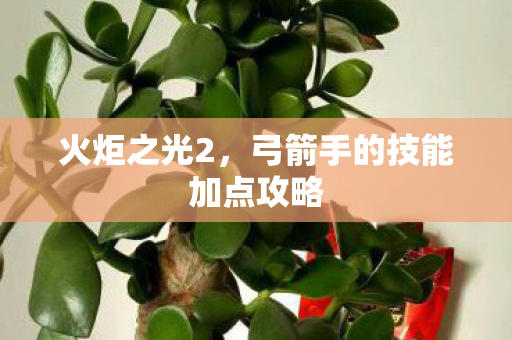 弓箭手的技能加点攻略图片