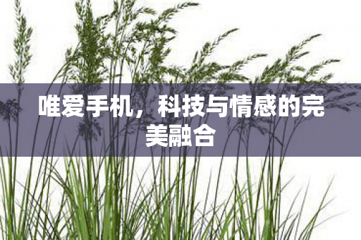 科技与情感的完美融合图片