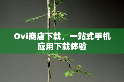 一站式手机应用下载体验图片