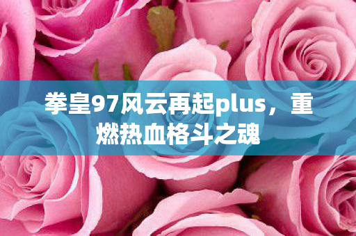 拳皇97风云再起plus图片