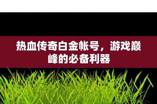 游戏巅峰的必备利器图片