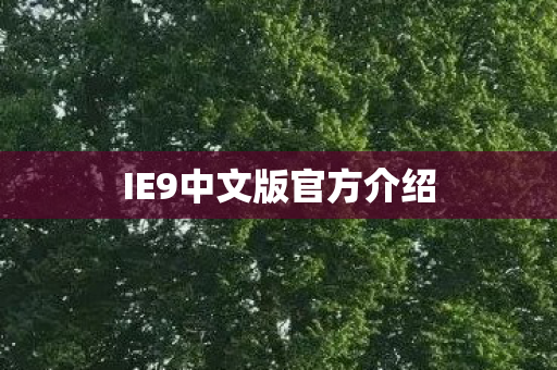 IE9中文版官方介绍图片
