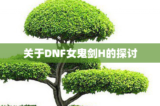 关于DNF女鬼剑H的探讨图片