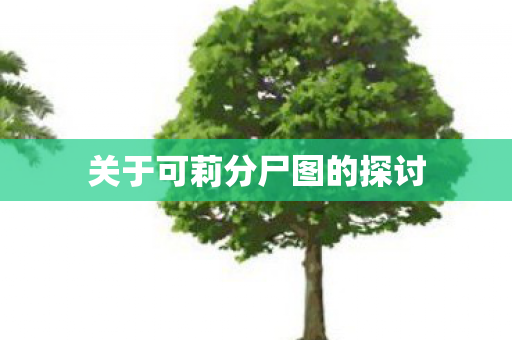 关于可莉分尸图的探讨图片