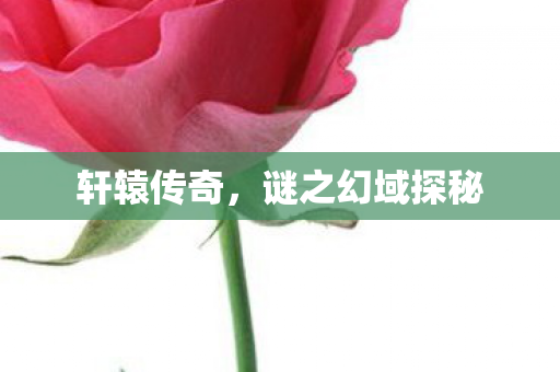 谜之幻域探秘图片