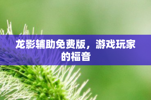 龙影辅助免费版图片