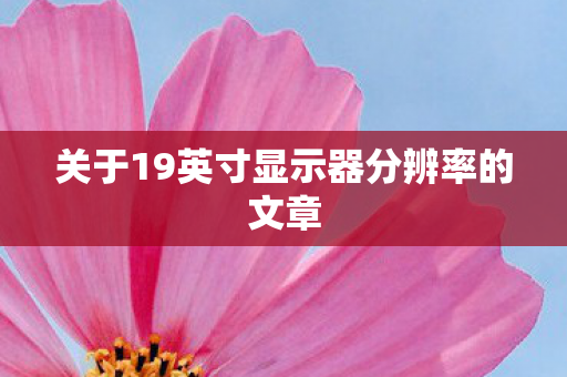 关于19英寸显示器分辨率的文章图片