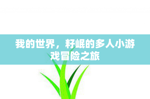 籽岷的多人小游戏冒险之旅图片