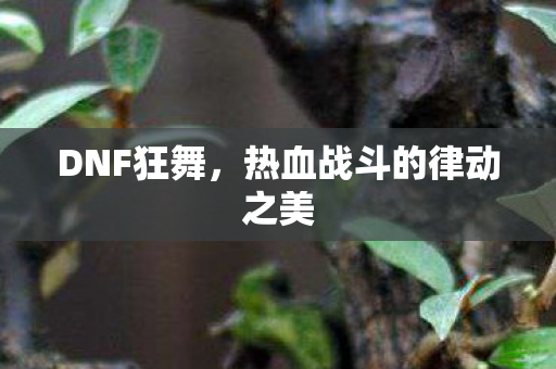 热血战斗的律动之美图片