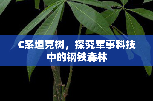 探究军事科技中的钢铁森林图片