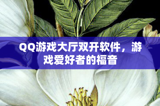 QQ游戏大厅双开软件图片