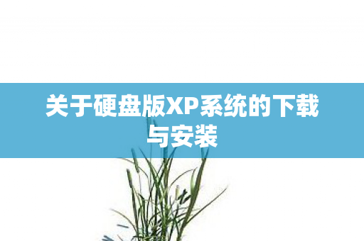 关于硬盘版XP系统的下载与安装图片