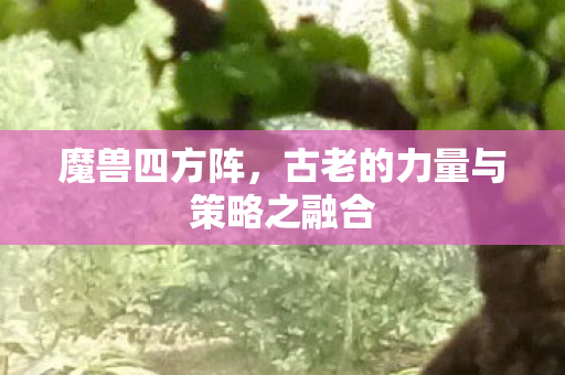 古老的力量与策略之融合图片