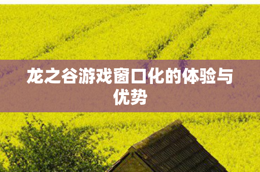 龙之谷游戏窗口化的体验与优势图片