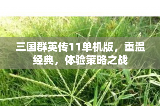 三国群英传11单机版图片