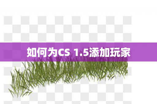 如何为CS 1图片
