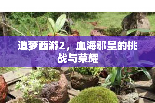 血海邪皇的挑战与荣耀图片
