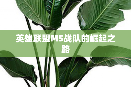 英雄联盟M5战队的崛起之路图片