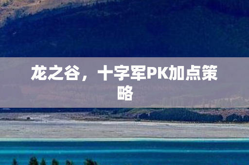十字军PK加点策略图片