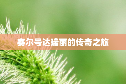 赛尔号达瑞丽的传奇之旅图片