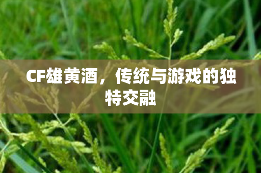 传统与游戏的独特交融图片