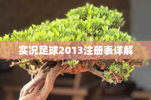 实况足球2013注册表详解图片
