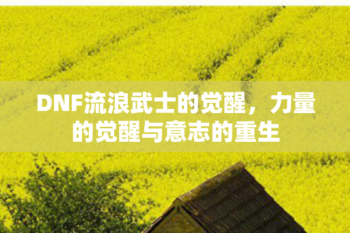 力量的觉醒与意志的重生图片