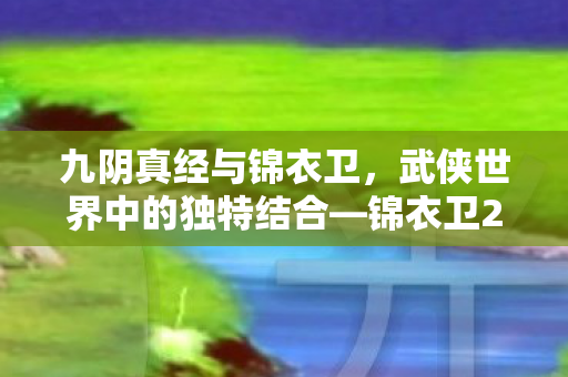 武侠世界中的独特结合图片