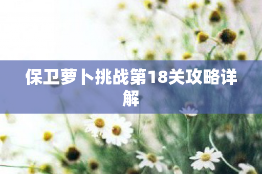 保卫萝卜挑战第18关攻略详解图片