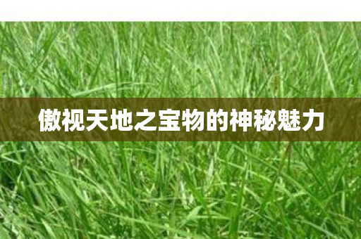 傲视天地之宝物的神秘魅力图片