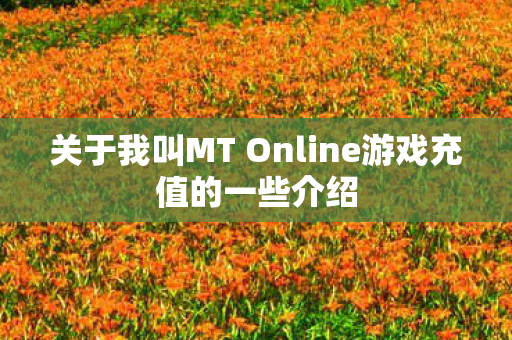 关于我叫MT Online游戏充值的一些介绍图片