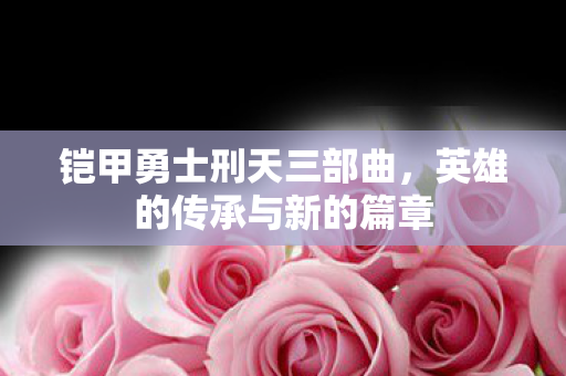 英雄的传承与新的篇章图片