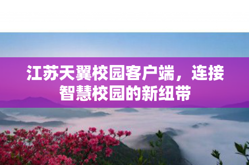 连接智慧校园的新纽带图片