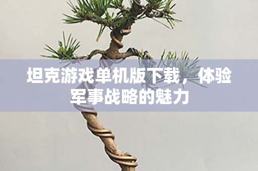 坦克游戏单机版下载,体验军事战略的魅力 坦克游戏单机版下载,体验军事战略的魅力