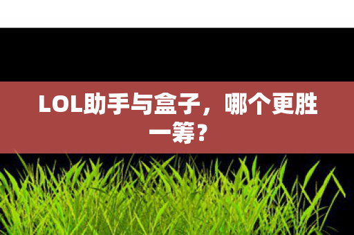 LOL助手与盒子图片