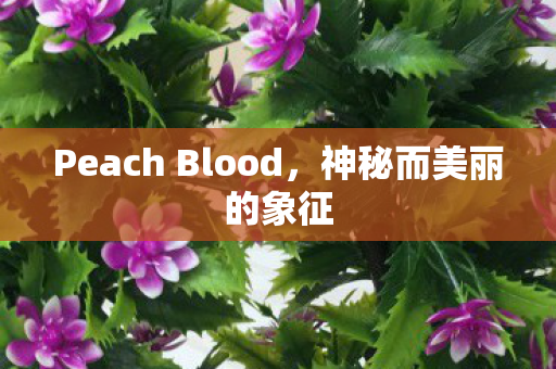 Peach Blood图片